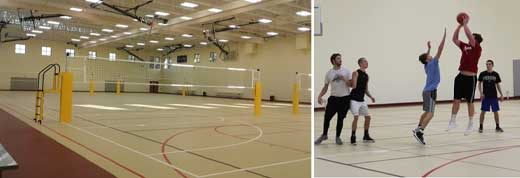 Open Gym, Courts